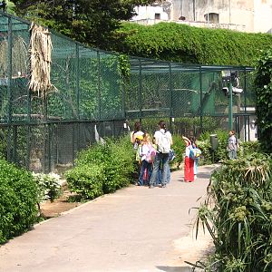 Parco Ornitologico Villa d'Orleans, Palermo