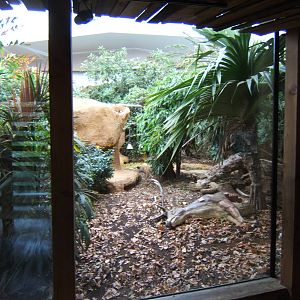 Komodo Dragon enclosure
