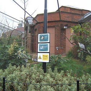Aviary on the outside of the Bird House
