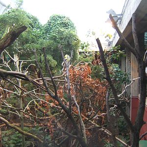 The centre exhibit in the Clore