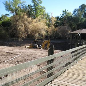 Phoenix Zoo, Jan 2, 2010