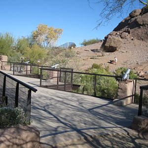 Phoenix Zoo, Jan 2, 2010