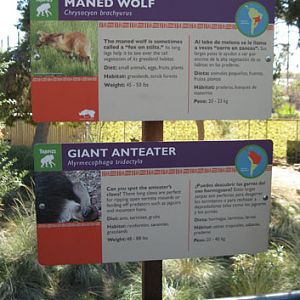 Phoenix Zoo, Jan 2, 2010