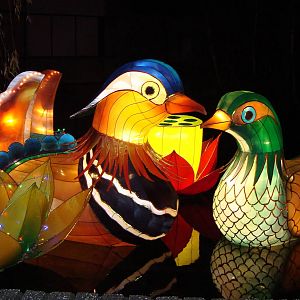 China Festival of lights