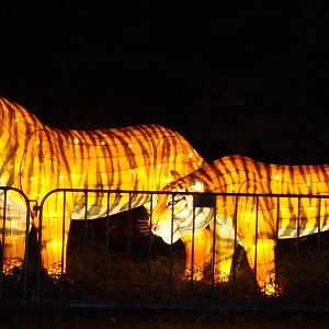 China Festival of lights