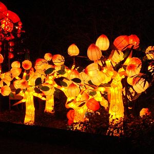 China Festival of lights