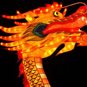 China Festival of Lights