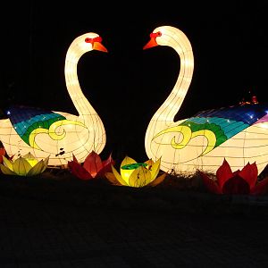 China Festival of Lights