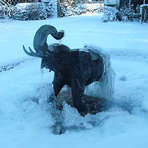 Elephant Fountain, Blackbrook in the Snow, 03/01/10