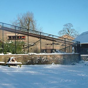 Scarlet Ibis Aviary, Blackbrook in the Snow, 03/01/10