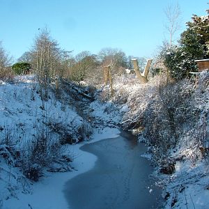 The stream, Blackbrook in the Snow, 03/01/10