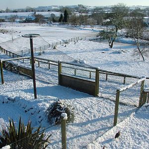 General view, Blackbrook in the Snow, 03/01/10