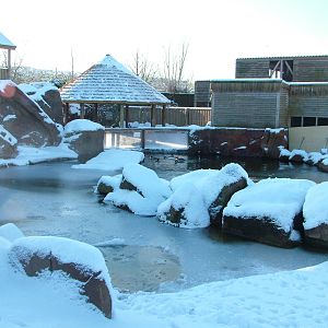 Penguin pool, Blackbrook in the Snow, 03/01/10