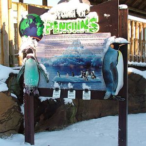 Penguin signage, Blackbrook in the Snow, 03/01/10