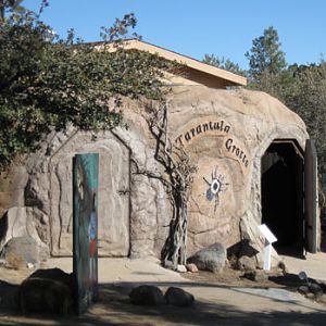 Tarantula Grotto