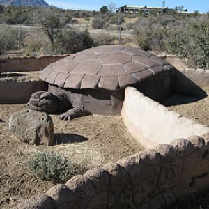 Tortoise house