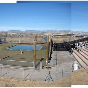 Out Of Africa, New Years Day 2010