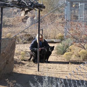 Out Of Africa, New Years Day 2010