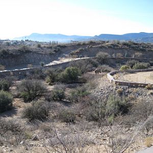 Out Of Africa, New Years Day 2010