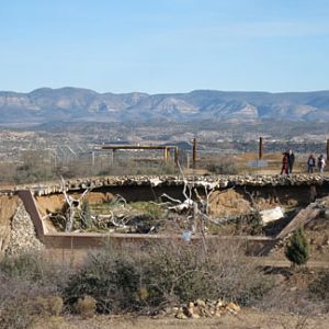 Out Of Africa, New Years Day 2010