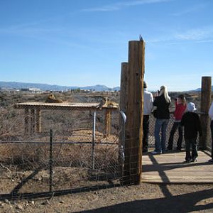 Out Of Africa, New Years Day 2010