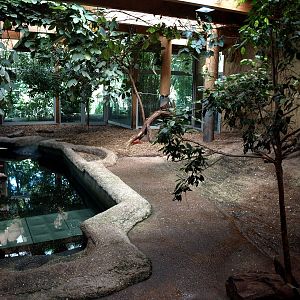 Duisburg Zoo - Pygmy hippo house