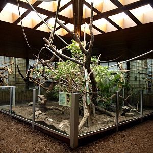 Duisburg Zoo - Equatorium