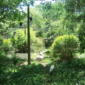 Stork Aviary