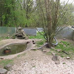 Otter enclosure at Galloway Wildlife Conservation Park