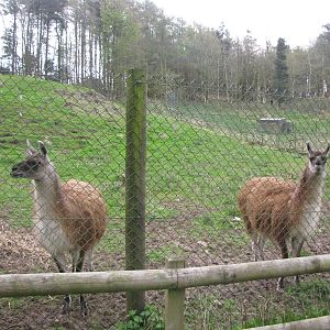 Galloway Wildlife Conservation Park