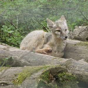 Galloway Wildlife Conservation Park