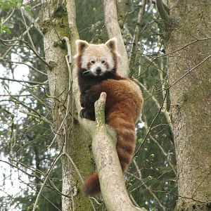 Galloway Wildlife Conservation Park