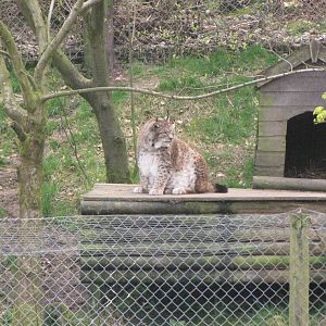 Galloway Wildlife Conservation Park