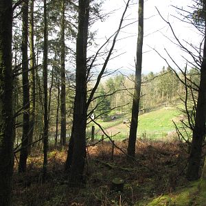 Galloway Wildlife Conservation Park