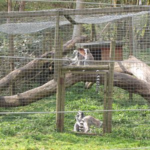 Galloway Wildlife Conservation Park