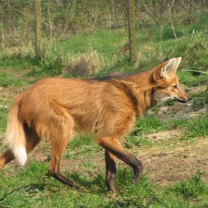 Galloway Wildlife Conservation Park