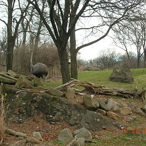 African Savannah Exhibit with Ostrich