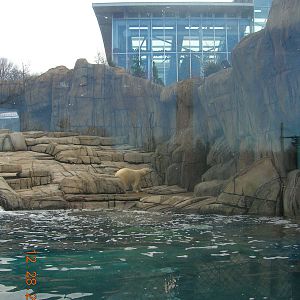 Water's Edge Polar Bear Exhibit with PPG Aquarium