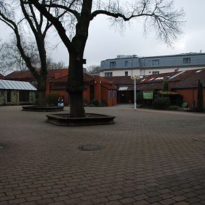 The forecourt