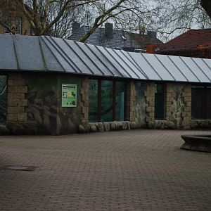 The coati exhibit