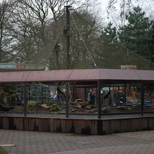 Aviary for Praire dogs and Burrowing owls