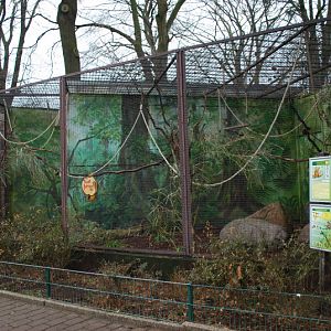 Enclosure for squirrel monkeys