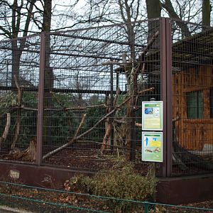 Aviary for Hyazinth macaws