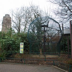 Scarlet macaw aviary