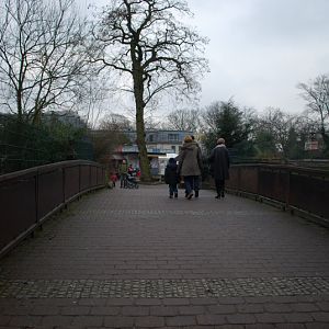 The zoo bridge