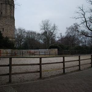 Pony enclosure
