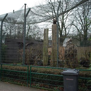 Leopard enclosure