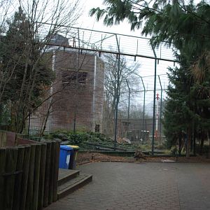 Birds of prey aviary