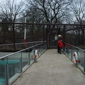 Bridge above the seal/penguinpool