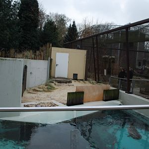Beach in the Seal enclosure